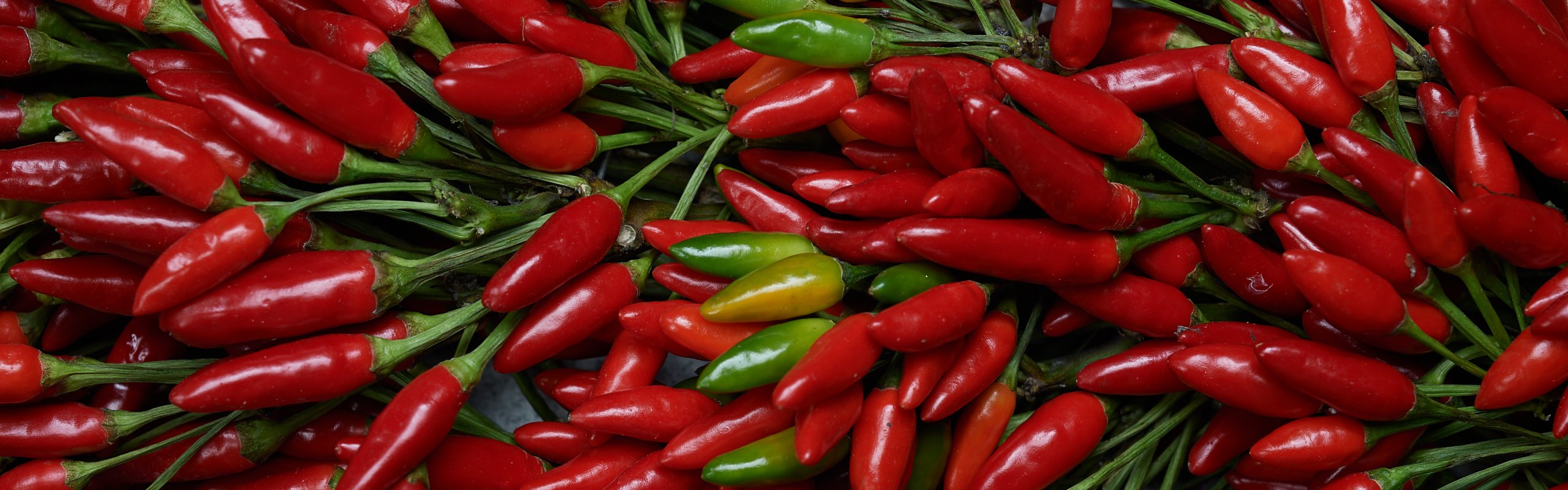 Chili Interstitial